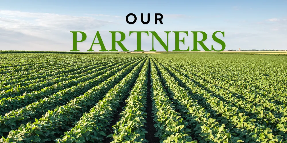 Our Partners
