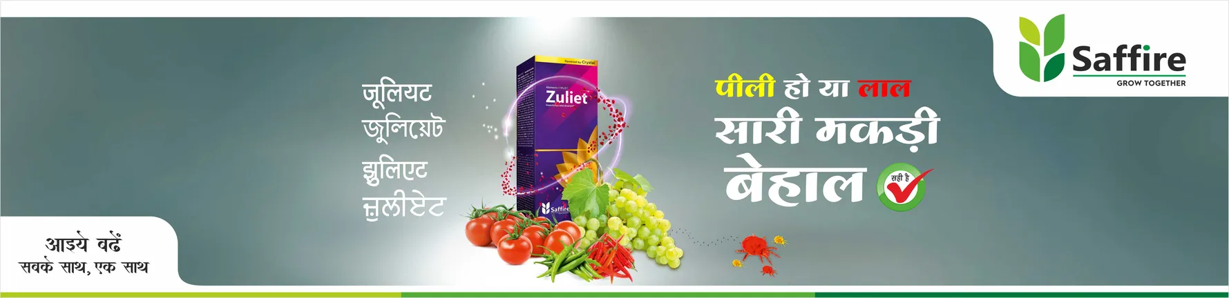ZULIET banner