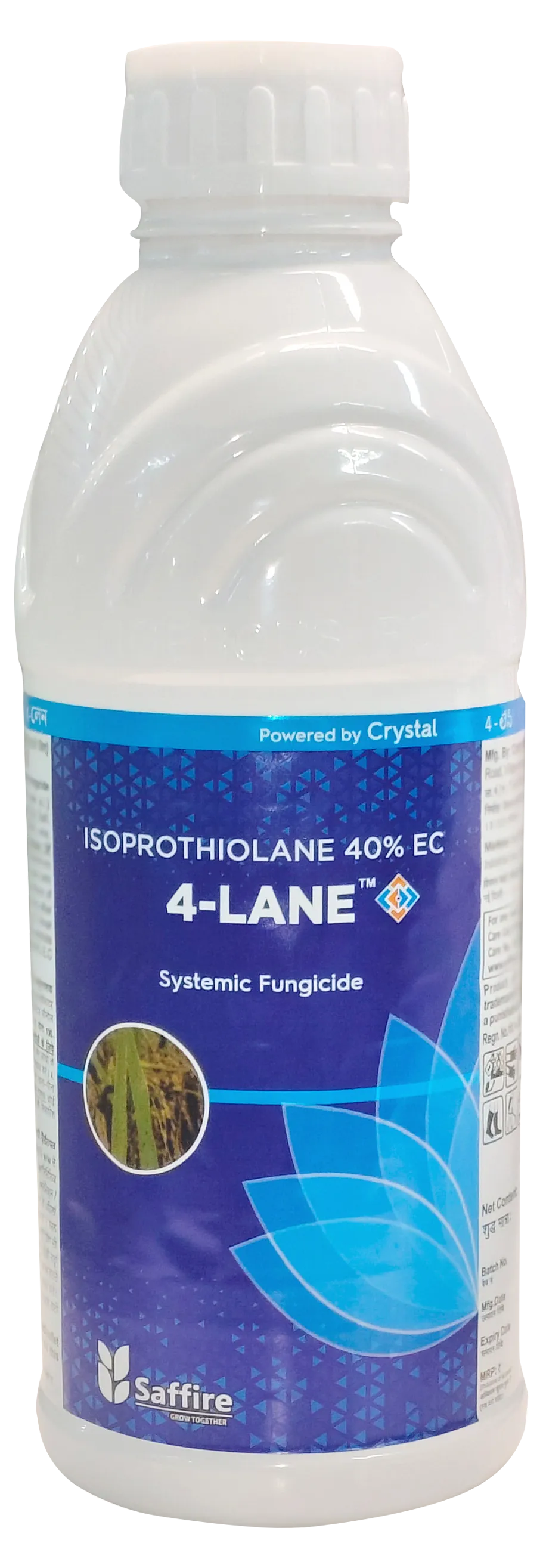4-LANE