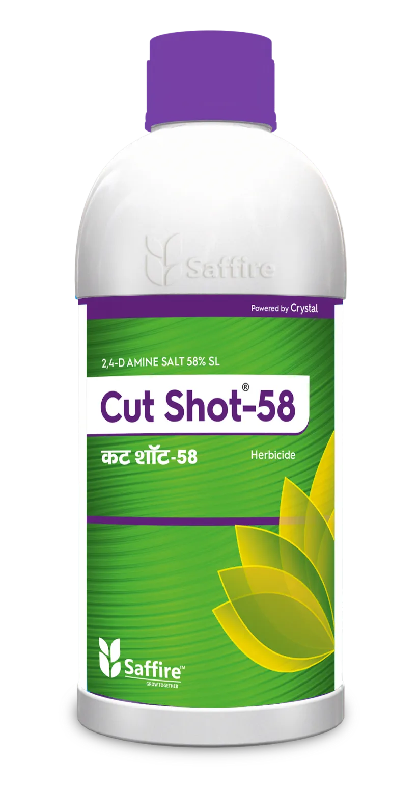 CUT-SHOT-58