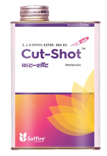 CUT-SHOT