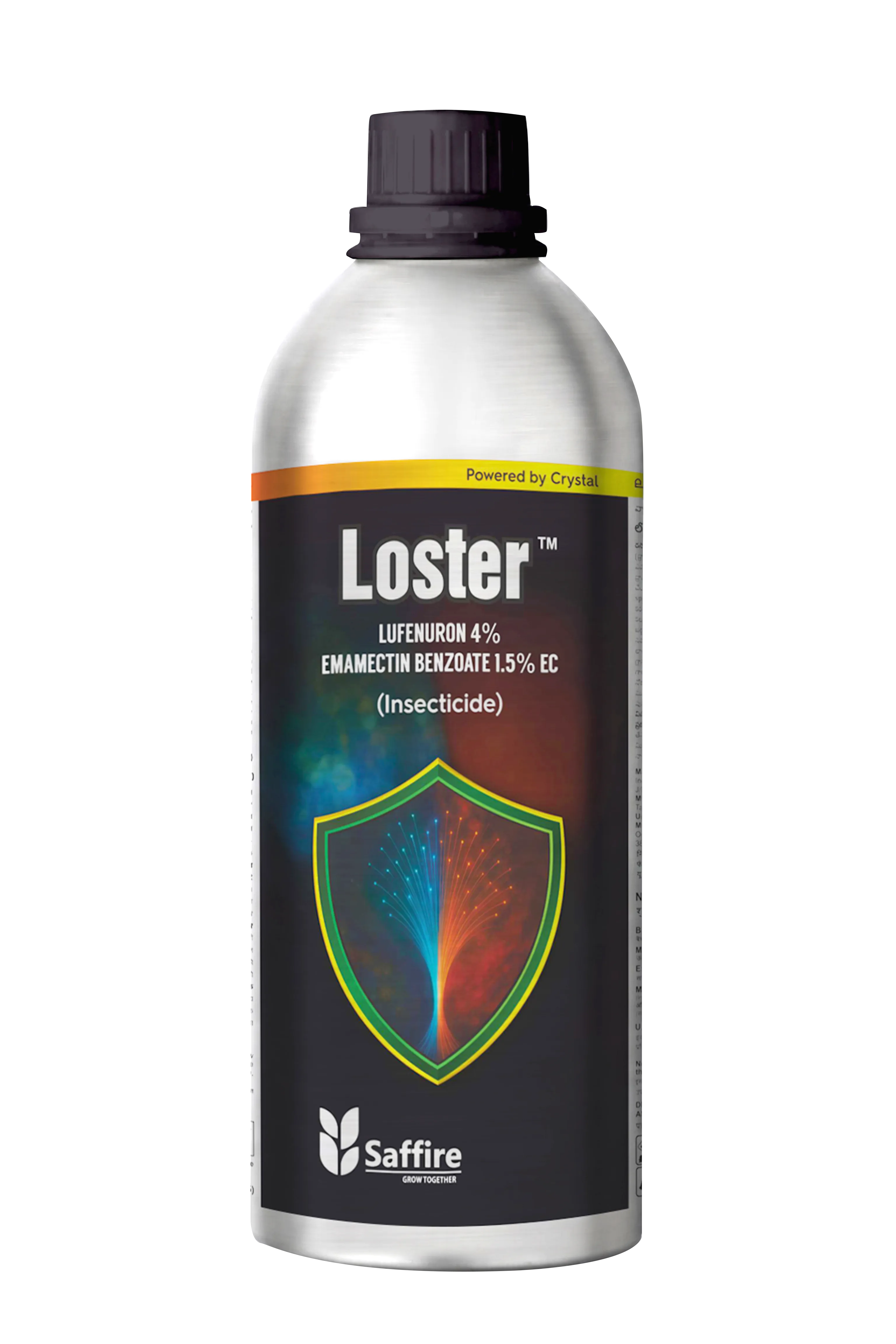 LOSTER