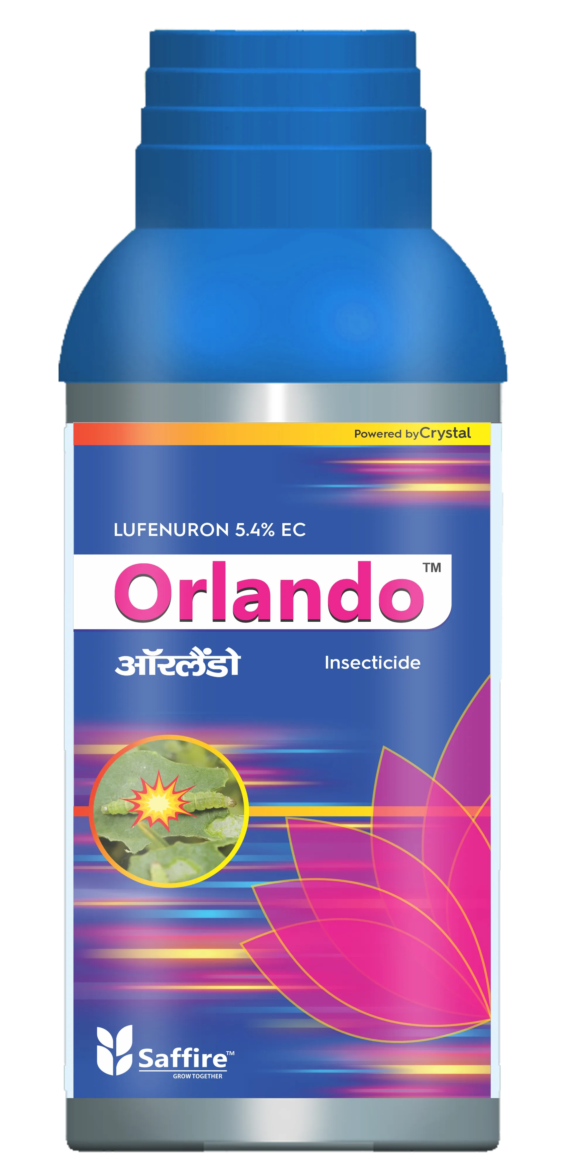 ORLANDO