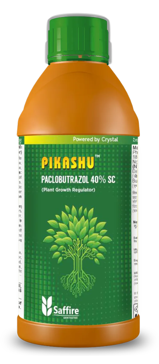 PIKASHU