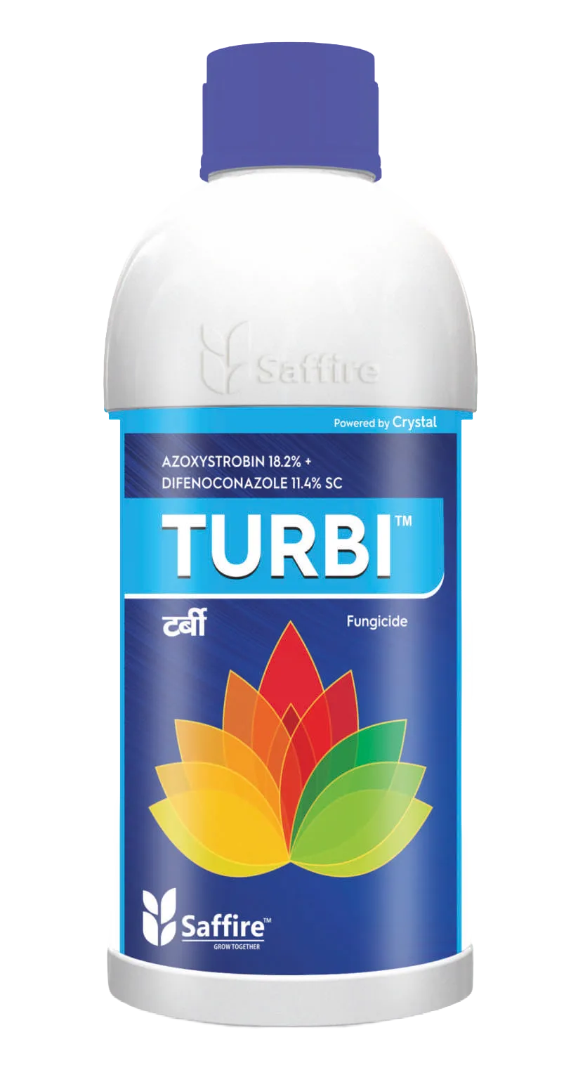 TURBI